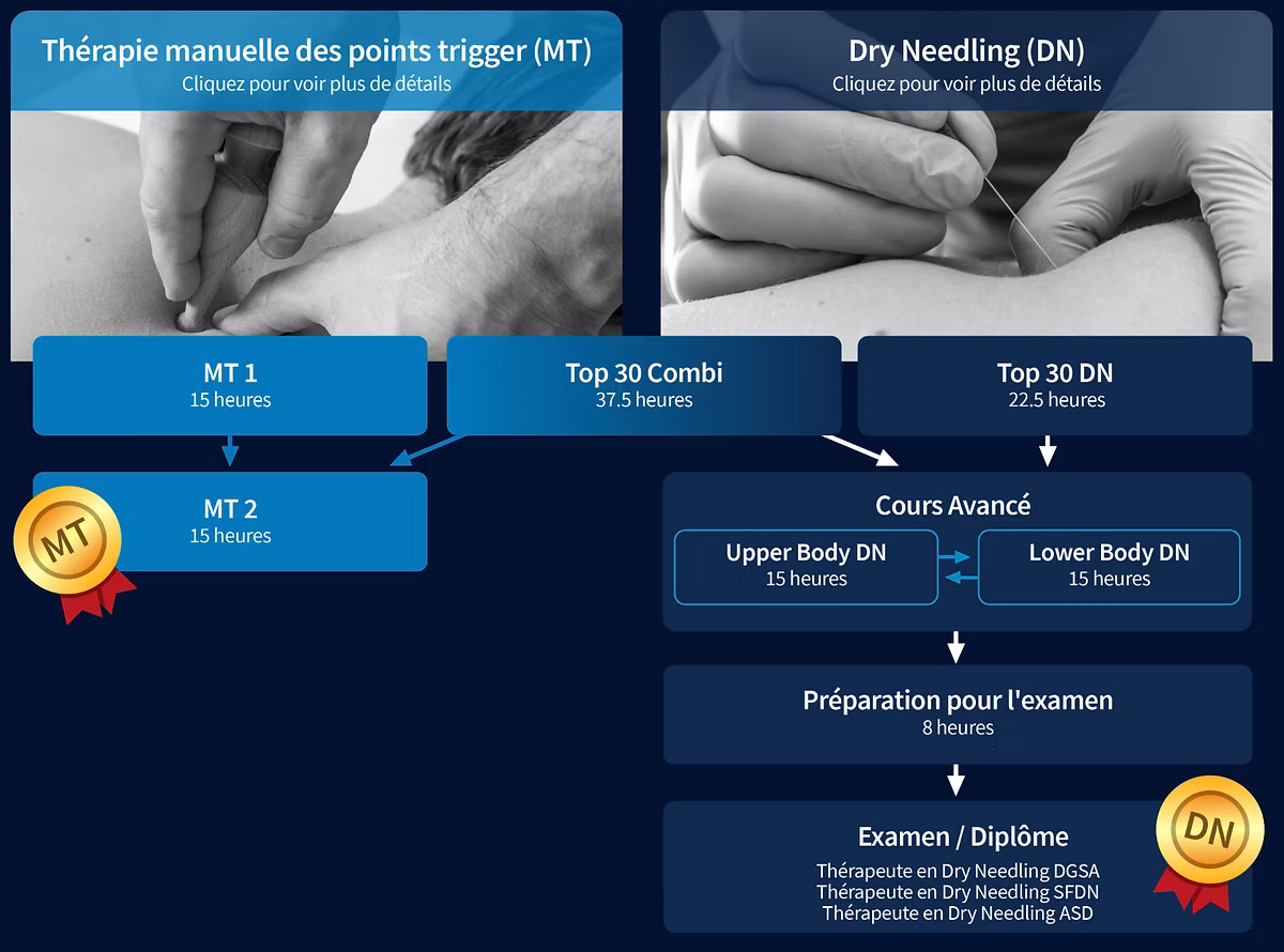 Parcours de formation dry needling et thérapie manuelle Kpten Formation, schéma des modules et examens en kinésithérapie.