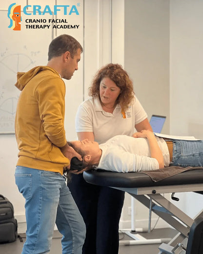 Formation CRAFTa en thérapie cranio-faciale, démonstration pratique en kinésithérapie premium.