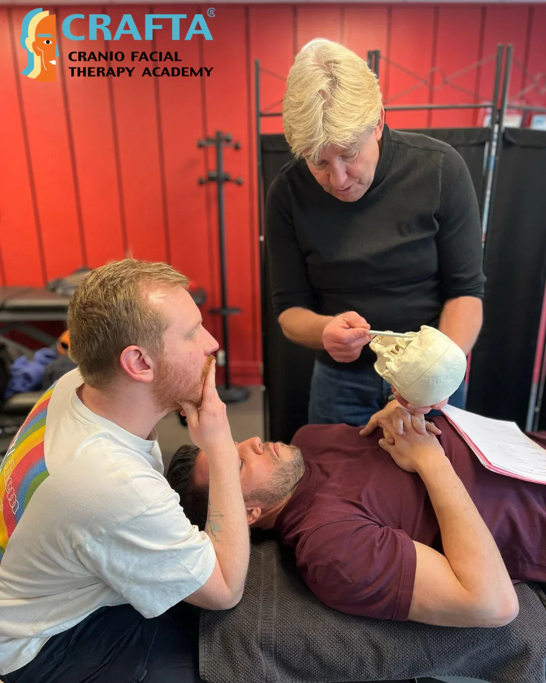 Formation kinésithérapie cranio-faciale CRAFTa, démonstration pratique sur crâne humain