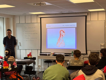 Formation kinésithérapie en dry needling avec présentation du muscle trapèze supérieur chez Kpten Formation.