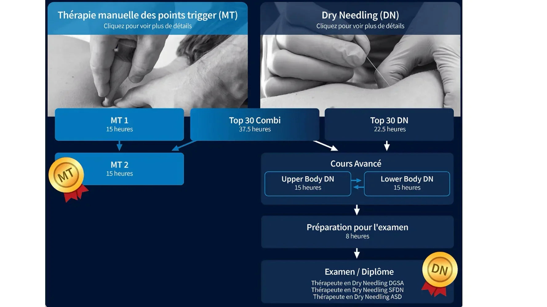 Schéma des formations kinésithérapie Kpten : thérapie manuelle, dry needling, parcours et diplômes.